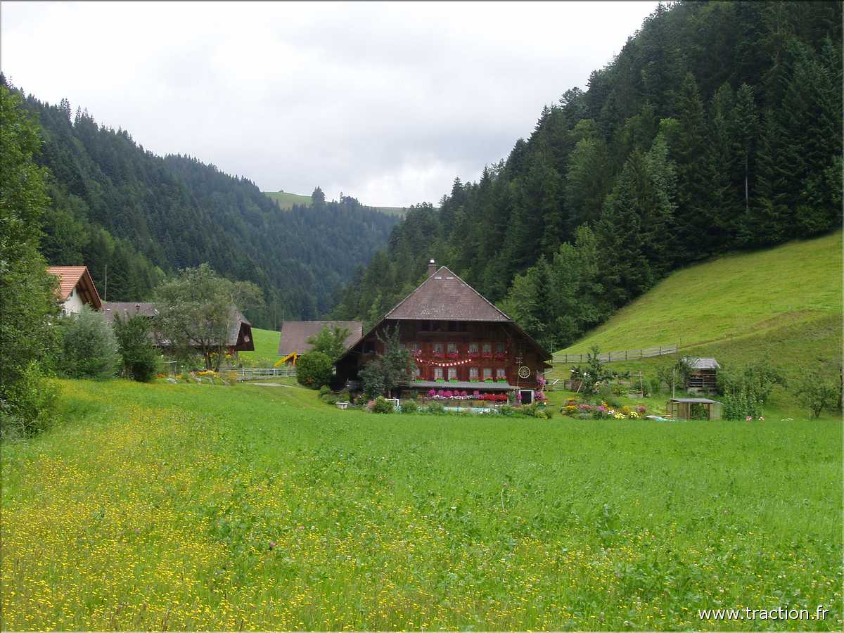 P8130001