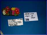 DSCN2298