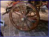 DSCN4508