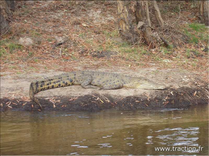 australie_1011362